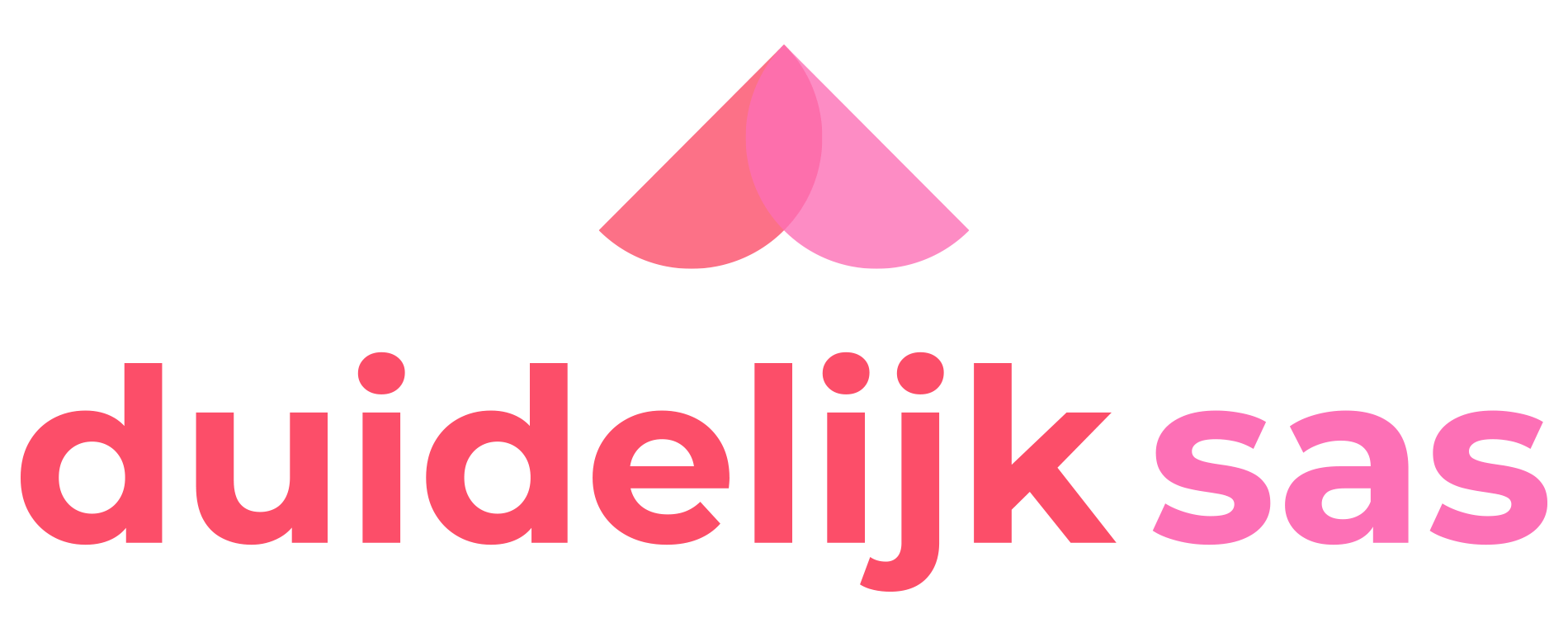Duidelijk Sas - online marketing en communicatie