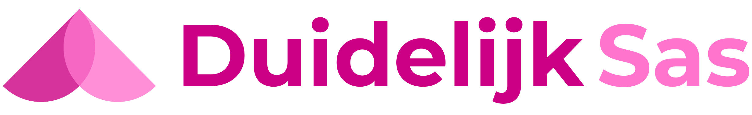 Duidelijk Sas - online marketing en communicatie